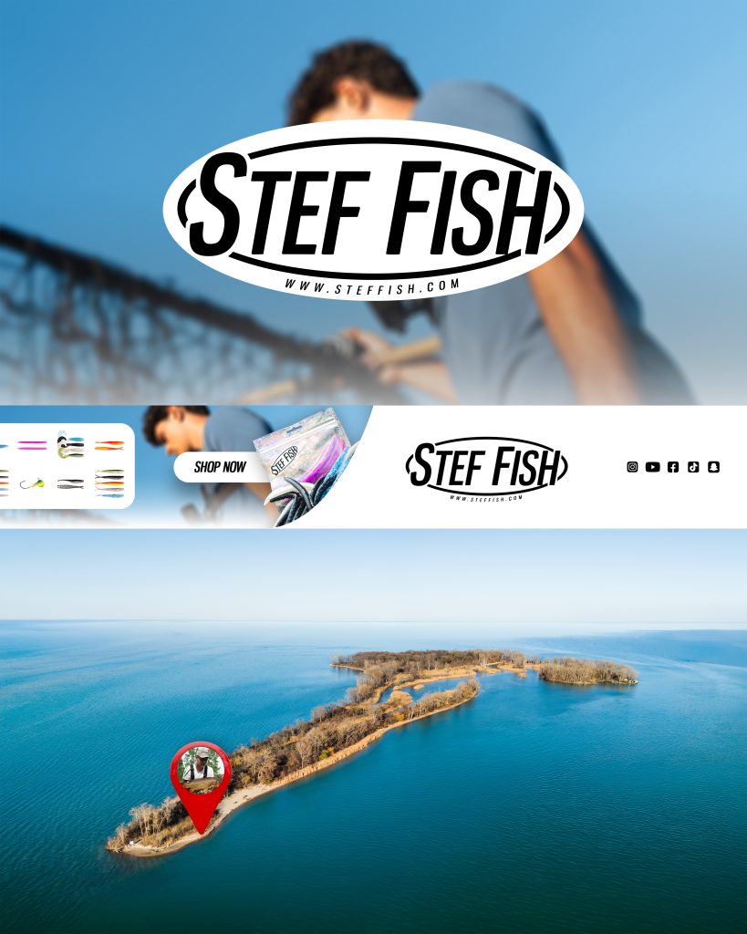 Stef Fish - Logo Design & Brand Identity